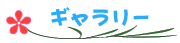 ギャラリー